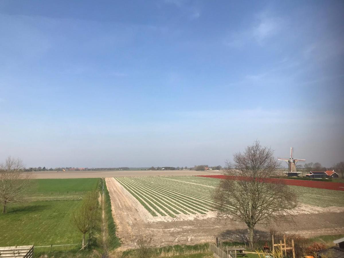 In De Gele Hoed Mooie Appartementen Met Fantastisch Uitzicht Zonnemaire Exteriér fotografie
