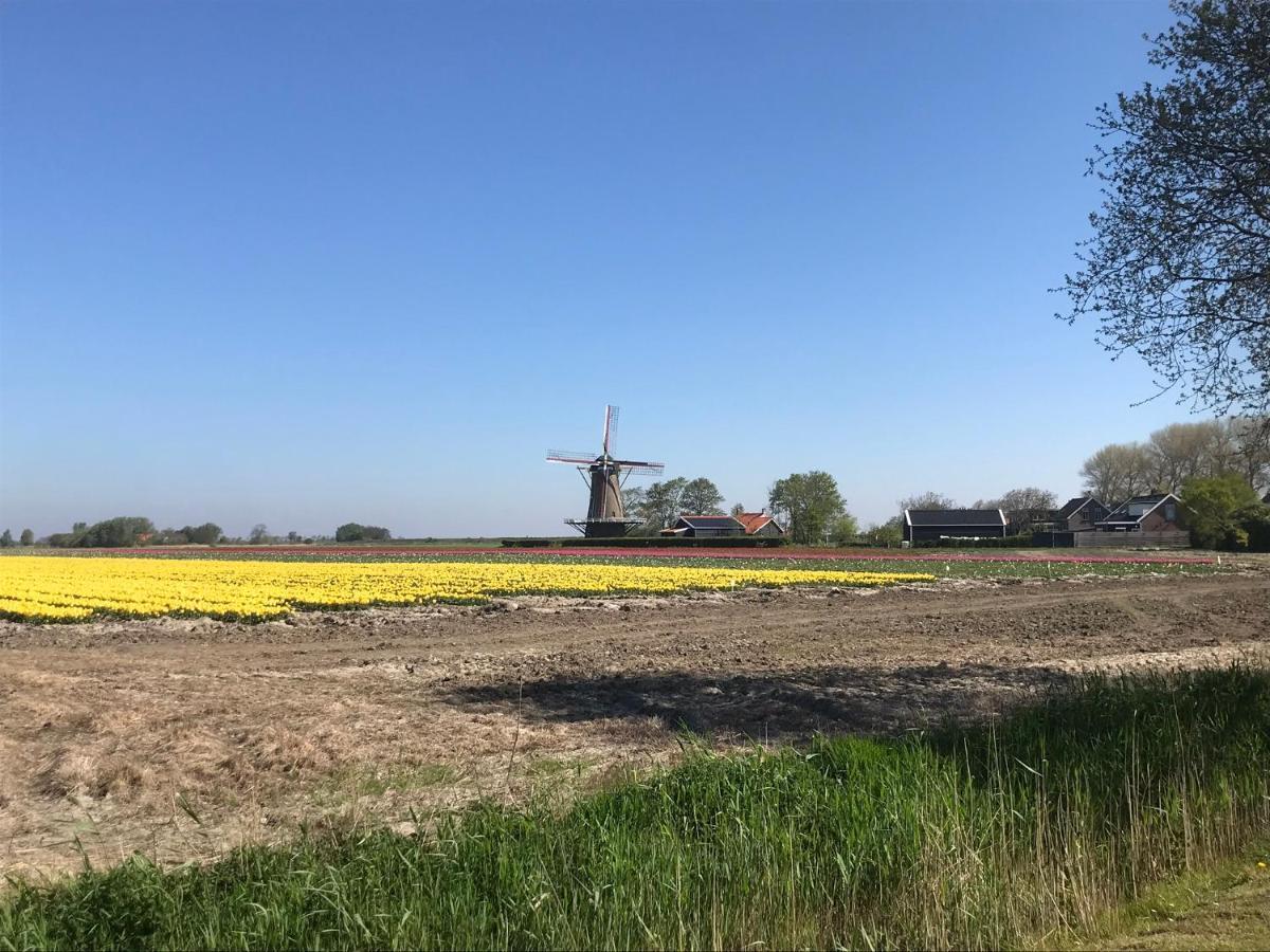 In De Gele Hoed Mooie Appartementen Met Fantastisch Uitzicht Zonnemaire Exteriér fotografie