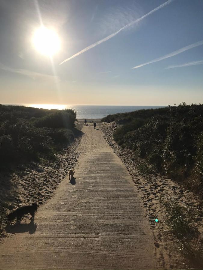 In De Gele Hoed Mooie Appartementen Met Fantastisch Uitzicht Zonnemaire Exteriér fotografie