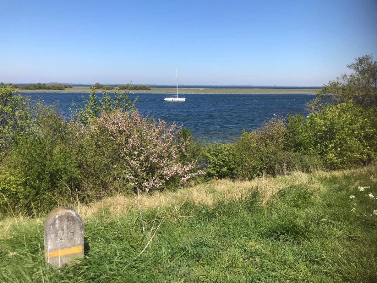 In De Gele Hoed Mooie Appartementen Met Fantastisch Uitzicht Zonnemaire Exteriér fotografie
